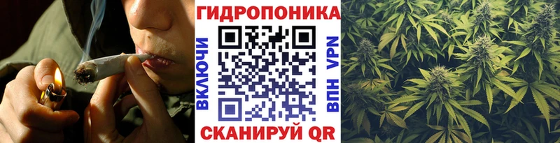 Купить закладки  Лесосибирск  Бошки марихуана семена 